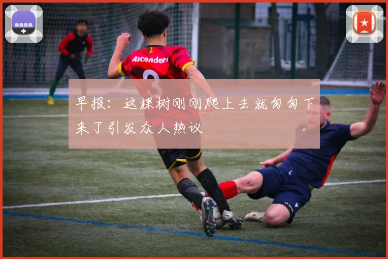 早报：这棵树刚刚爬上去就匆匆下来了引发众人热议