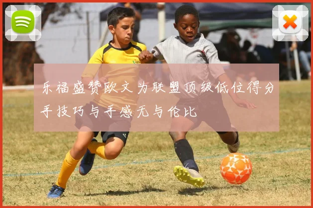 乐福盛赞欧文为联盟顶级低位得分手技巧与手感无与伦比