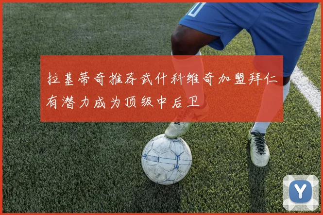 拉基蒂奇推荐武什科维奇加盟拜仁有潜力成为顶级中后卫