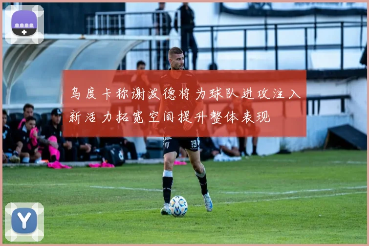 乌度卡称谢泼德将为球队进攻注入新活力拓宽空间提升整体表现